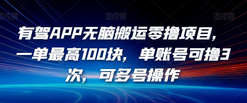有驾APP无脑搬运零撸项目，一单最高100块，单账号可撸3次，可多号操作【揭秘】-逐浪前行