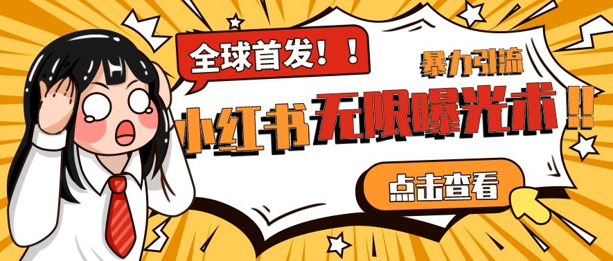 全网首发-小红书无限曝光术pro版全领域粉丝精准拿下-逐浪前行