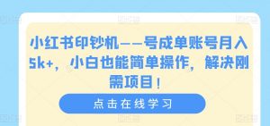 小红书印钞机——号成单账号月入5k+,小白也能简单操作,解决刚需项目【揭秘】-逐浪前行