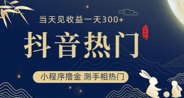 抖音最新小程序撸金，测手相上热门，当天见收益一小时变现300+【揭秘】-逐浪前行
