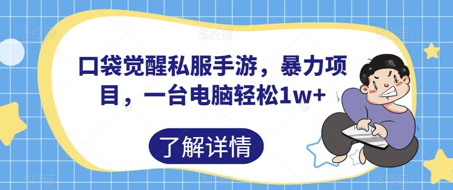口袋觉醒私服手游，暴力项目，一台电脑轻松1w+【揭秘】-逐浪前行