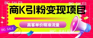 商K引粉变现项目,高客单价精准流量【揭秘】-逐浪前行