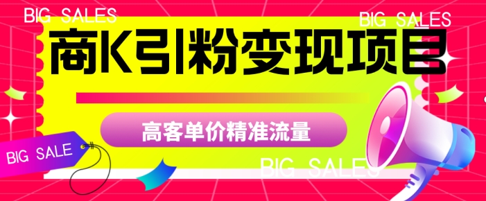 商K引粉变现项目，高客单价精准流量【揭秘】-逐浪前行