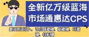 全新亿万级蓝海市场通惠达cps,最强管道收入,让你睡着赚、躺着赚、玩着赚、轻松赚【揭秘】-逐浪前行