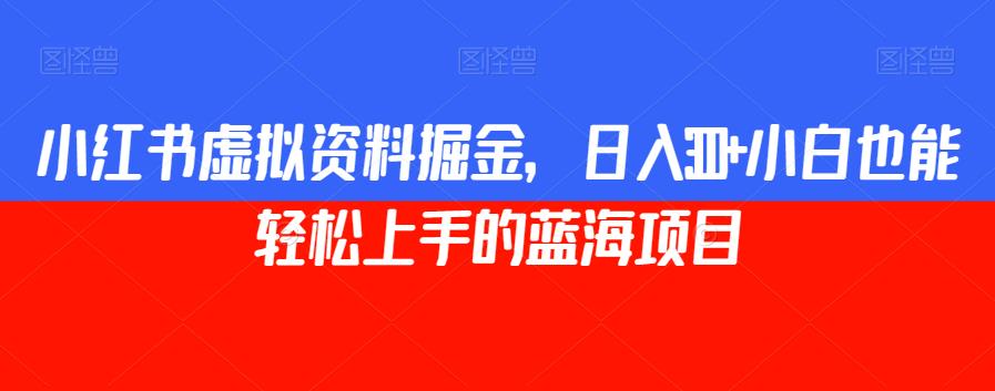 小红书虚拟资料掘金，日入300+小白也能轻松上手的蓝海项目【揭秘】-逐浪前行