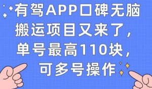 有驾APP口碑无脑搬运项目又来了,单号最高110块,可多号操作-逐浪前行