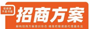 王昕招商方案,解构招商方案意识形态,精准把握渠道代理基本法-逐浪前行