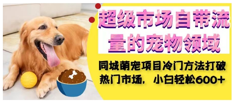 超级市场自带流量的宠物领域，同城萌宠项目冷门方法打破热门市场，小白轻松600+-逐浪前行