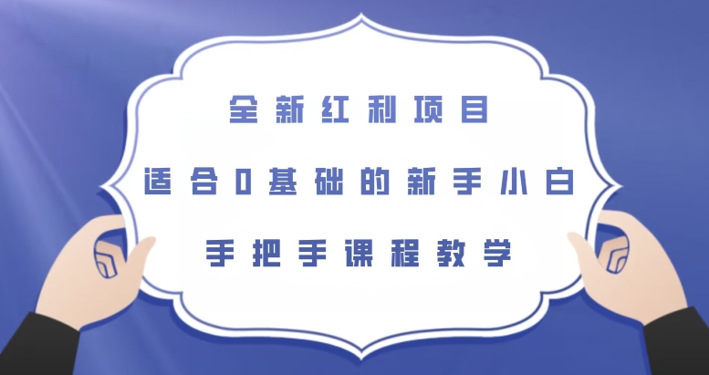 全新红利项目，适合0基础的新手小白，手把手课程教学【揭秘】-逐浪前行