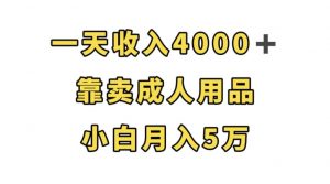 一天收入4000+,靠卖成人用品,小白轻松月入5万【揭秘】-逐浪前行