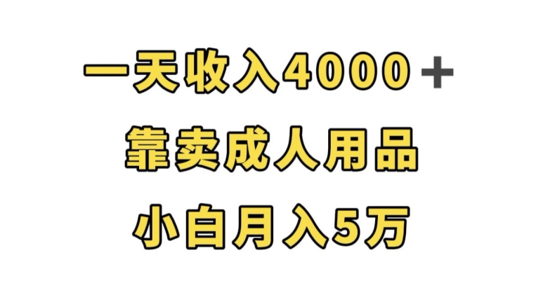 一天收入4000+，靠卖成人用品，小白轻松月入5万【揭秘】-逐浪前行