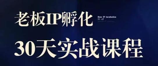 诸葛·2023老板IP实战课，实体同城引流获客，IP孵化必听-逐浪前行