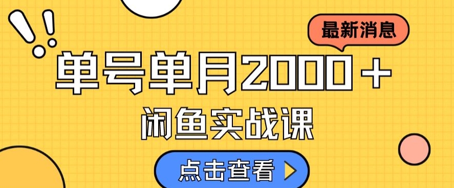 最新闲鱼日入500＋，虚拟资料变现喂饭级讲解-逐浪前行
