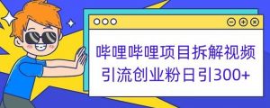 哔哩哔哩项目拆解引流创业粉日引300+小白可轻松上手【揭秘】-逐浪前行