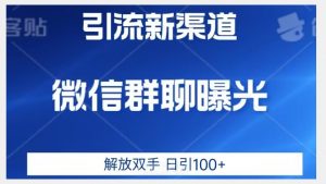 价值2980的全新微信引流技术,只有你想不到,没有做不到【揭秘】-逐浪前行
