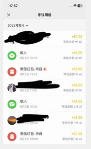 重磅揭秘!一个月9000+收益2023年9月最新yw男粉计划绿色玩法——人性利益更新玩法-逐浪前行