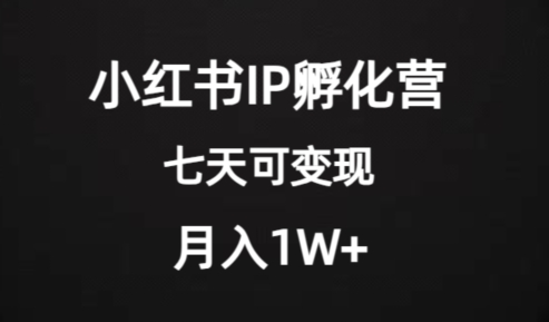 价值2000+的小红书IP孵化营项目，超级大蓝海，七天即可开始变现，稳定月入1W+-逐浪前行