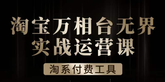 沧海·淘系万相台无界实战运营课，万相台无界实操全案例解析-逐浪前行