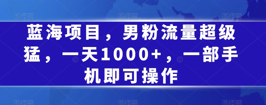 蓝海项目，男粉流量超级猛，一天1000+，一部手机即可操作【揭秘】-逐浪前行
