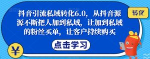 抖音引流私域转化6.0,从抖音源源不断把人加到私域,让加到私域的粉丝买单,让客户持续购买-逐浪前行