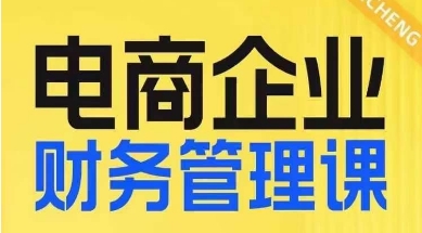 电商企业财务管理线上课，为电商企业规划财税-逐浪前行
