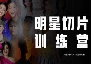 王子·明星切片线上训练营（2023），和明星一起拿红利，让明星为我们赚钱-逐浪前行