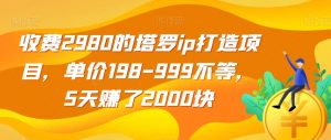 收费2980的塔罗ip打造项目,单价198-999不等,5天赚了2000块【揭秘】-逐浪前行
