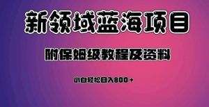 虚拟资源蓝海领域新项目,轻松日入800+,附保姆级教程及资料-逐浪前行