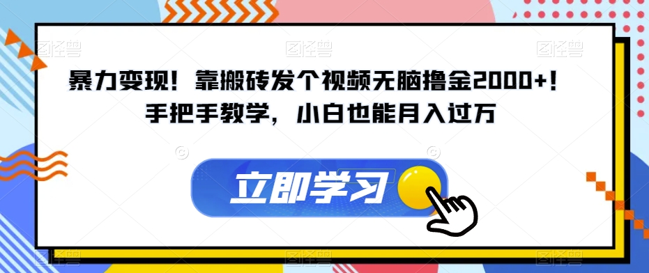 暴力变现！靠搬砖发个视频无脑撸金2000+！手把手教学，小白也能月入过万【揭秘】-逐浪前行