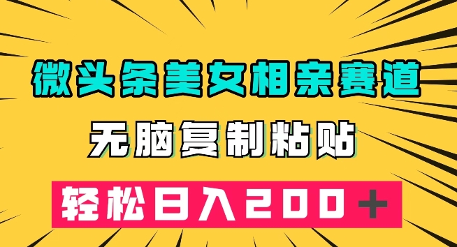微头条冷门美女相亲赛道，无脑复制粘贴，轻松日入200＋【揭秘】-逐浪前行