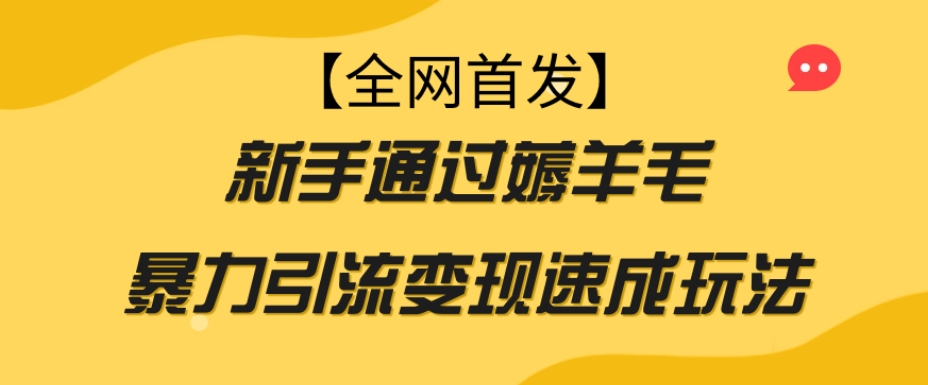 【全网首发】新手通过薅羊毛暴力引流变现速成玩法-逐浪前行