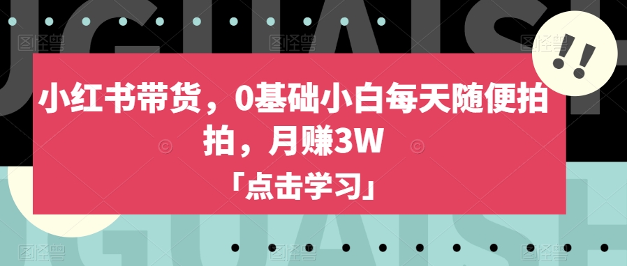 小红书带货，0基础小白每天随便拍拍，月赚3W【揭秘】-逐浪前行