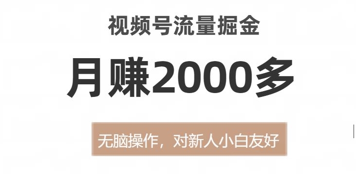 视频号流量掘金，无脑操作，对新人小白友好，月赚2000多【揭秘】-逐浪前行