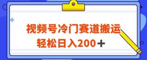 视频号最新冷门赛道搬运玩法，轻松日入200+【揭秘】-逐浪前行
