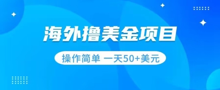 撸美金项目无门槛操作简单小白一天50+美刀-逐浪前行