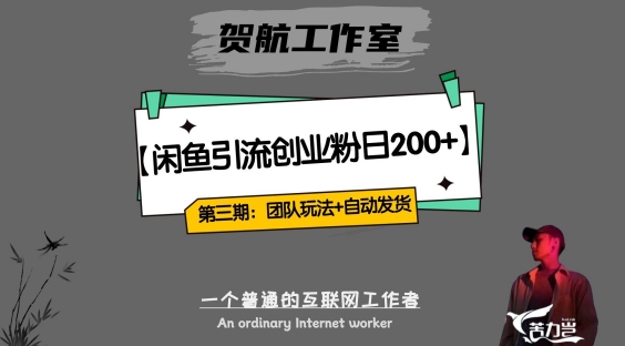 第三期：暴力引流，无脑搬运，闲鱼创业粉引流一天200+，更新全自动发货的团队闭环模式【揭秘】-逐浪前行