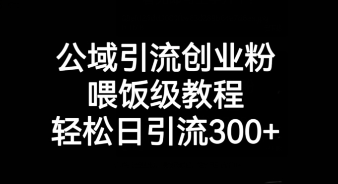 公域引流创业粉，喂饭级教程，轻松日引流300+【揭秘】-逐浪前行