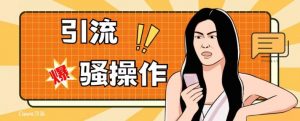 最新引流骚操作,单账号日引50-100,简单粗暴,适合于小白各行各业都可以进行操作,精准粉丝加到爆-逐浪前行