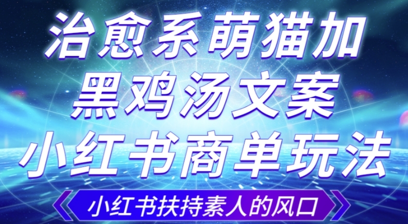 治愈系萌猫加+黑鸡汤文案，小红书商单玩法，3~10天涨到1000粉，一单200左右-逐浪前行