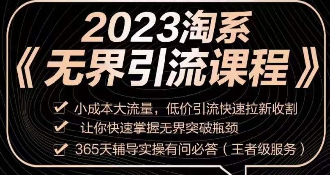2023淘系无界引流实操课程，​小成本大流量，低价引流快速拉新收割，让你快速掌握无界突破瓶颈-逐浪前行