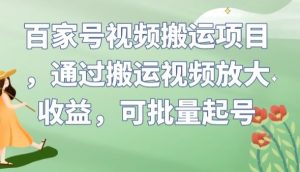 百家号视频搬运项目，通过搬运视频放大收益，可批量起号【揭秘】-逐浪前行