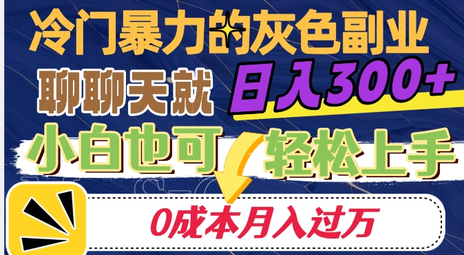 冷门暴利的副业项目，聊聊天就能日入300+，0成本月入过万【揭秘】-逐浪前行