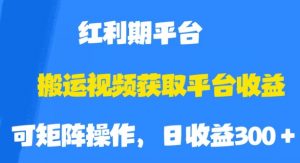 搬运视频获取平台收益，平台红利期，附保姆级教程【揭秘】-逐浪前行