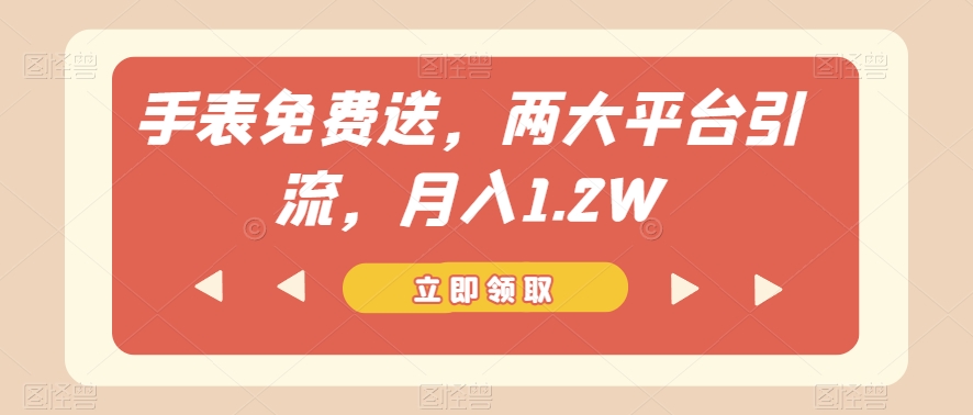 手表免费送，两大平台引流，月入1.2W【揭秘】-逐浪前行