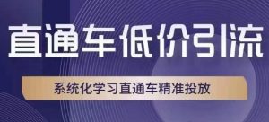 直通车低价引流课,系统化学习直通车精准投放-逐浪前行