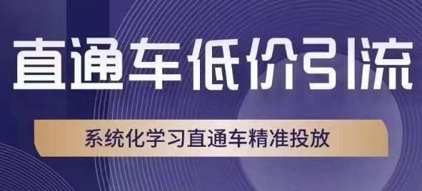 直通车低价引流课，系统化学习直通车精准投放-逐浪前行