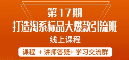 南掌柜-第17期打造淘系标品大爆款，5天线上课-逐浪前行
