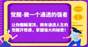 觉醒-做一个通透的强者,让你醍醐灌顶,拥有通透人生的觉醒开悟课,掌握强大的秘密!-逐浪前行