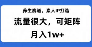 养生赛道,素人IP打造,流量很大,可矩阵,月入1w+【揭秘】-逐浪前行