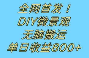 全网首发冷门赛道!DIY微景观,无脑搬运视频,日收益800+【揭秘】-逐浪前行